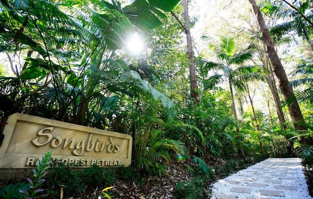 Songbirds Rainforest Retreat