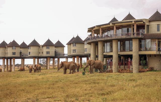 Salt Lick Safari Lodge