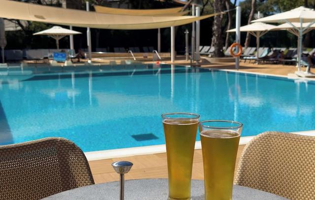 The Dan Carmel Hotel