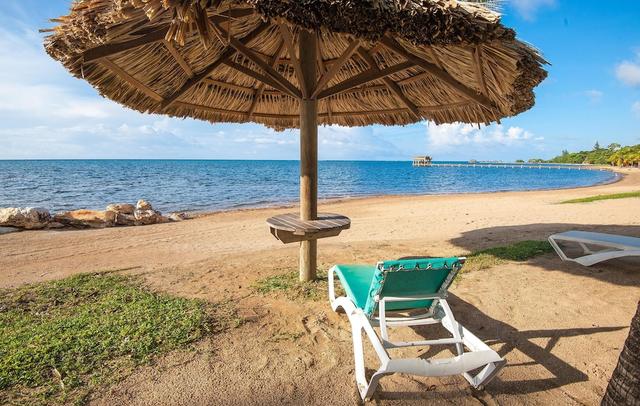 Lawson Rock Parrotfish 106