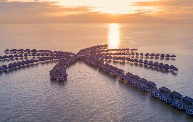 Golden Palm Tree Malaysia