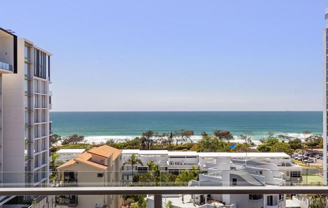 Verve on Cotton Tree