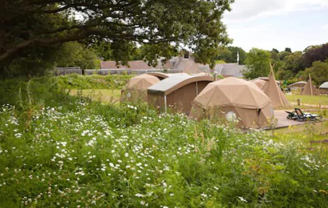 Durrell Wildlife Camp
