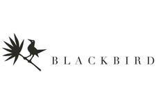 Blackbird Byron logo