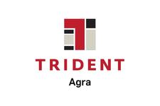 Trident, Agra logo