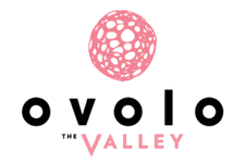 Ovolo The Valley logo