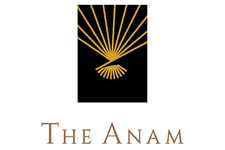 The Anam - OLD logo