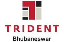 Trident Bhubaneswar logo