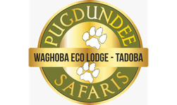 Waghoba Eco Lodge logo