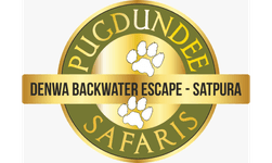 Denwa Backwater Escape  logo