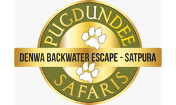 Denwa Backwater Escape  logo