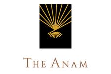 The Anam logo