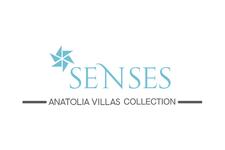 Senses Villas Mykonos  logo