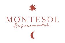 Montesol Experimental Ibiza logo