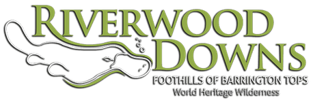 Riverwood Downs Of Barrington Tops  logo