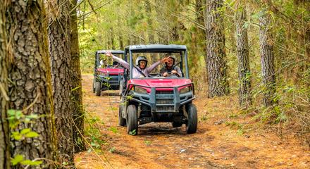 Hanmer Springs Off Road Buggy: 2-seat vehicle