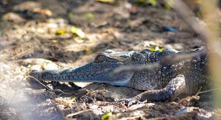 Flood Country - Alligator River Region of Kakadu