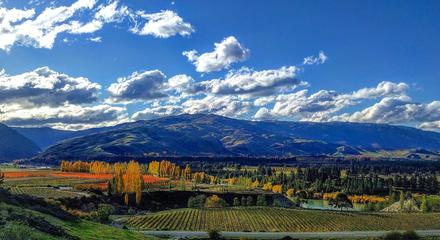 Central Otago Full Day Wine Tour