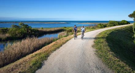 Ahuriri to Cape Coast Self-Guided Tour- PATHWAY BIKE TA_GROSS