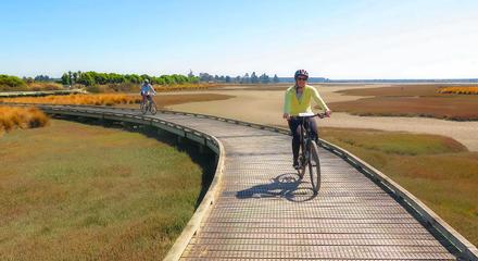 Magical Mapua 1 day self-guided tour