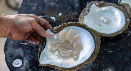 Broome: Guided Paspaley Pearl Farm Four-Hour Morning Tour with Return Transfers