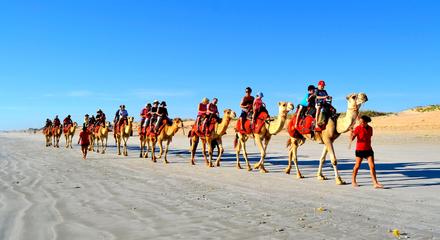 Broome: Stunning 30-Minute Pre-Sunset Camel Tour on Cable Beach