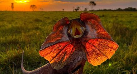 Outback Camp Day Tour