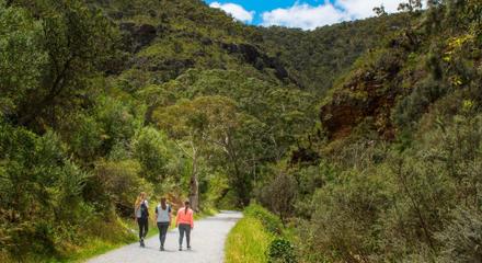 Morialta Wilderness and Wildlife Hike