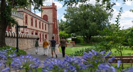 Yalumba: Private Tour and Luxury Tasting with Platter at Award-Winning and Sustainable Winery