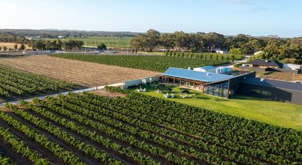 Discover Barossa Tasting & Lunch Experience