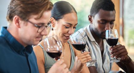 Private Full-Day Mornington Peninsula Wine Tour with Two-Course Lunch, Tastings & Return Transfers