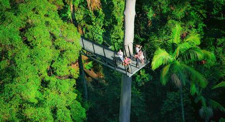 Explore Mt Tamborine - Brisbane Departure