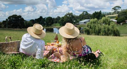Orange: Printhie Picnic Hamper with Bottle of Wine & Guided Wine Tasting