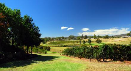 Perth: Interactive Mystery Picnic Experience for Two in Swan Valley