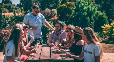 Waipara Wine Tour (Small Group & Carbon Neutral)