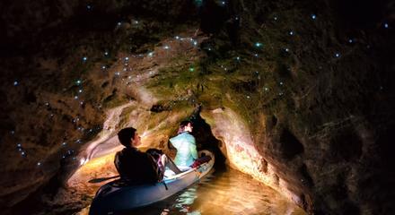 Kayak Glow Worm Tour