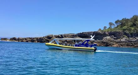 Jervis Bay Passage Tour