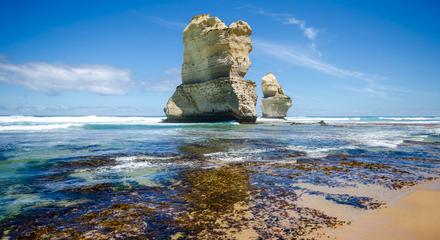 Autopia Tours: Great Ocean Road Experience