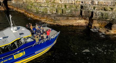 Cape Raoul Cruises (Cruise Only)