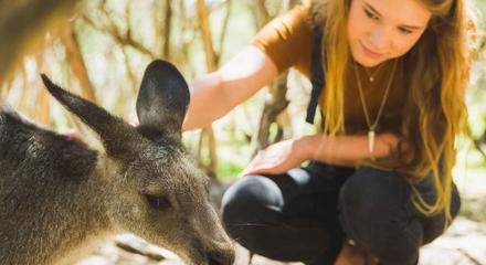 Puffing Billy and Moonlit Tour