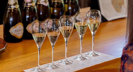 Sparkling Scholar - House of Arras