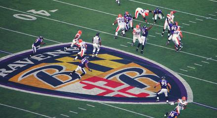 Baltimore: Witness an Baltimore Ravens National Football League Game at M&T Bank Stadium