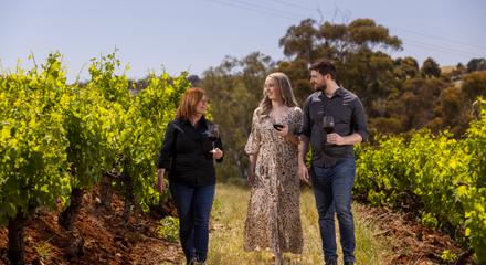 Great Terraced Vineyard Tour