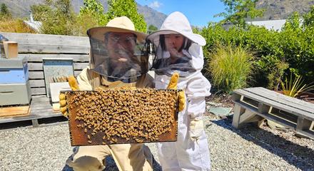 Queenstown: Interactive Honey Spinning Experience with Personalised Jar of Take-Home Honey