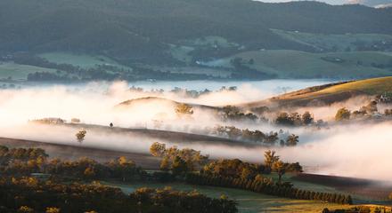 Mystery Picnic Date - Yass Valley