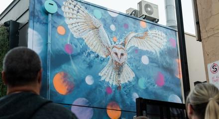 JIMMY C STREET ART TOUR