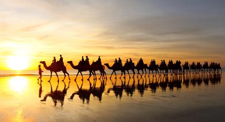 Broome: One-Hour Sunset Camel Tour on Cable Beach