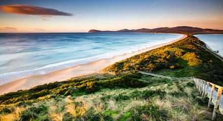 Bruny Island Day Tour