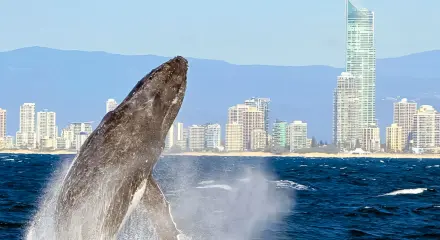  Luxury Escapes - W/W