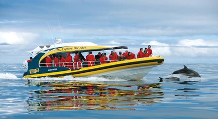 Bruny Island Cruises 3 Hour Cruise with Kettering Bus Pickup